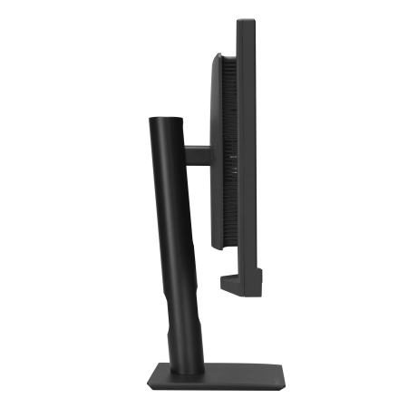 ASUS ProArt Display PA24US