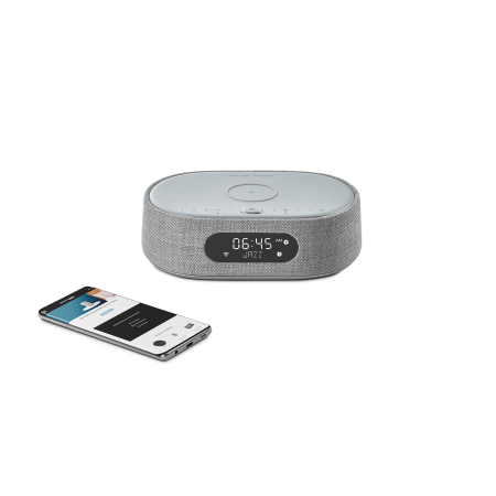 Harman Kardon Citation Oasis FM Grey